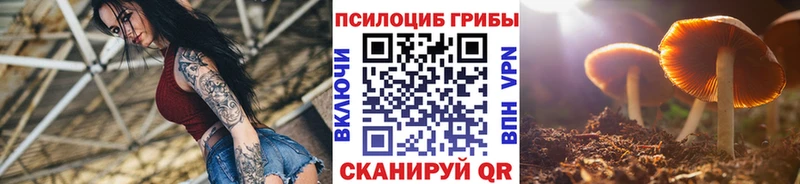 Галлюциногенные грибы MAGIC MUSHROOMS  Бронницы 